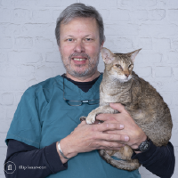 Dr. Francis Vandecaveye - Vakdierenarts Kleine Huisdieren
