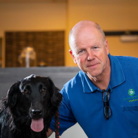 Drs. Ing. Jacques Jenniskens - Dierenarts / Clinical director