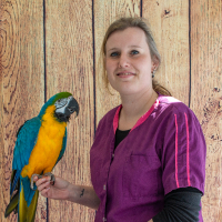 Vivian - Paraveterinair & vogel gedragsdeskundige