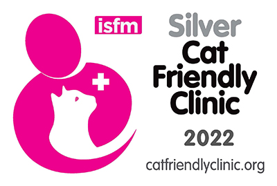 cat friendly clinic silver