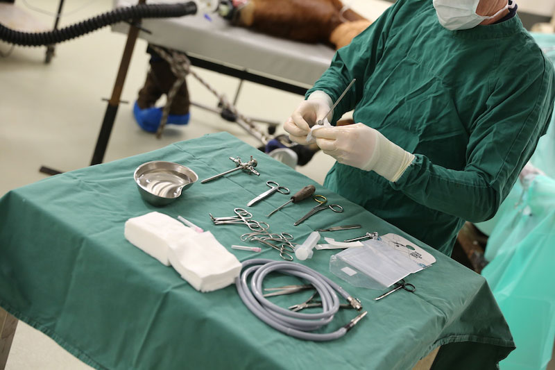 Een dierenarts maakt chirurgisch materiaal klaar