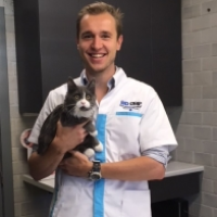 Dr. Nick Simons - Dierenarts