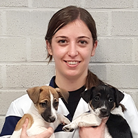 Dr. Catho Goossens - Dierenarts