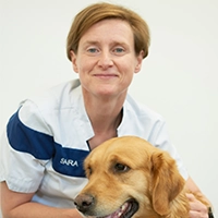 Dr. Sara Steegmans - Dierenarts