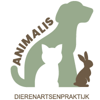 Kelly - Dierenartsassistent