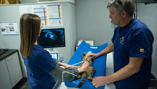 Salle technique pour la radiographie et l’échographie