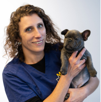 Dr Sclipteux Virginie - Formation dentisterie (Néoanimalia IM3)