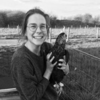 Nicky Cauwelier - Dierenverpleegkunde
