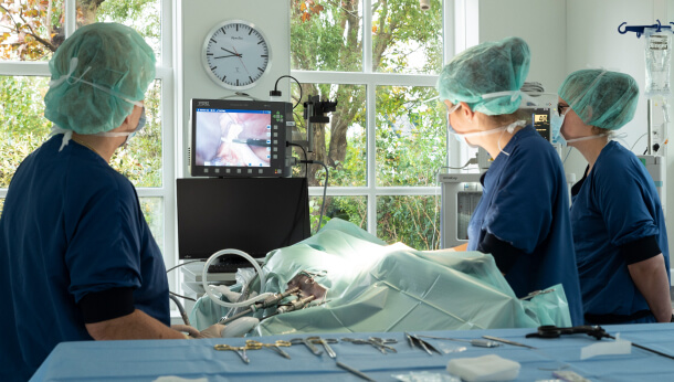 Paraveterinair opname/OK