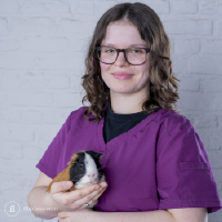 Amber Sintobin - Dierenartsassistente