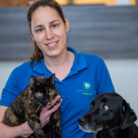 Drs. Mariska Loose-Golsteijn - Dierenarts