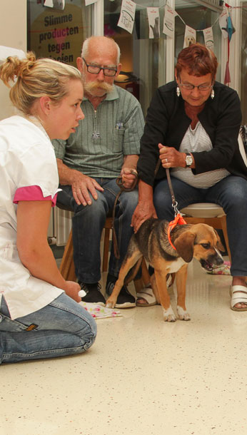 Puppybegeleiding