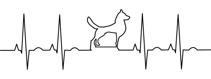 Honden hartslag