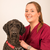 Dorien - Paraveterinair assistente