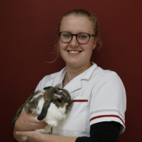 Marloes - Paraveterinair assistente