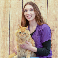 Caitlin - Paraveterinair