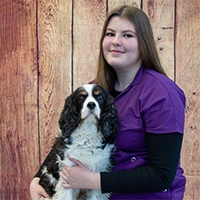 Charlotte K - Paraveterinair