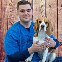 Justin - Paraveterinair