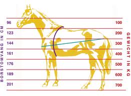 lichaamsgewicht paard
