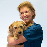 Natalie Van Hoe - Dierenarts Dermatologie, Interne geneeskunde en Chirurgie