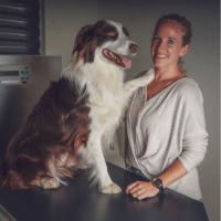 DRS. M.M. (Irma) Van der Zande - Dierenarts