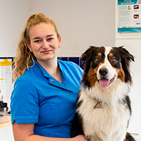 Colinda Brem - Paraveterinair