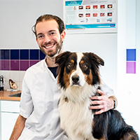 Drs Elwin van Oldenborgh - Dierenarts