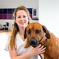 Drs Kelly van Vliet - Dierenarts