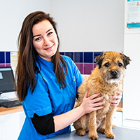 Laura de Waard - Paraveterinair