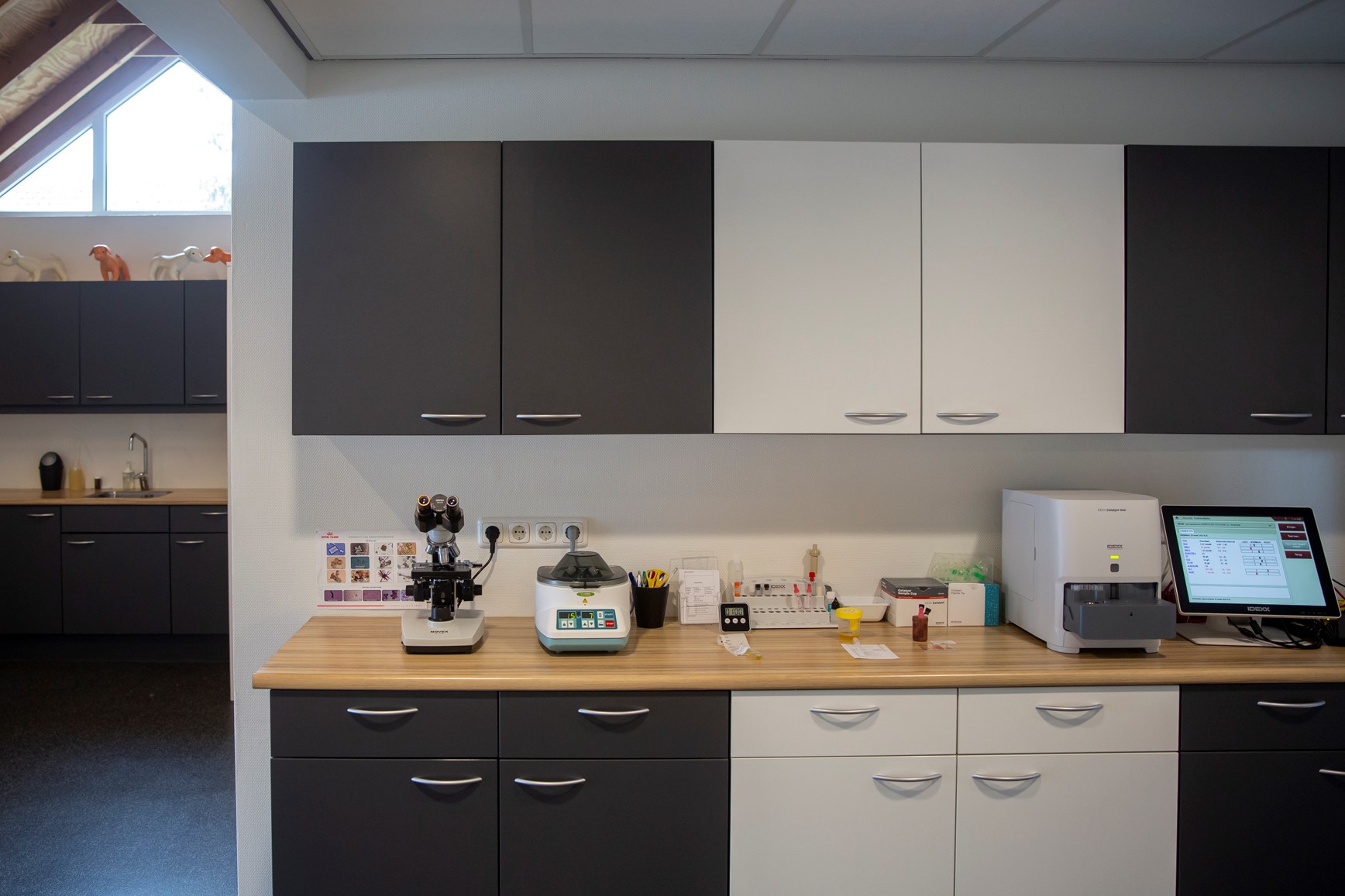 Lab