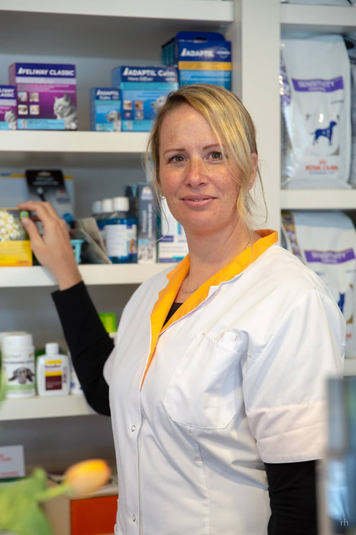 Paraveterinair