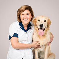 Nicole Lavrijssen - ZZP Dierenarts