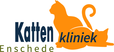 Bewust worden Ontspannend regen Uw kattenkliniek in Enschede | Dierenkliniek Enschede