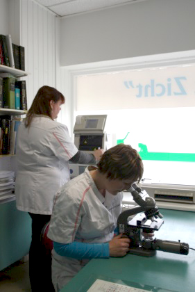 dierenarts voert microscopisch onderzoek uit