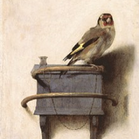 Frank Verstappen - Dierenarts