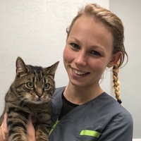 Dr. Tessa van Riet - Dierenarts