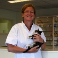 Birgit Caminada - Dierenarts - Clinical Director