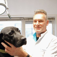 Frits van der Plaat - Dierenarts