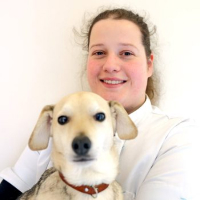 Sanne Goossens - Paraveterinair