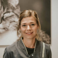 Annemieke Torsius - Paraveterinair