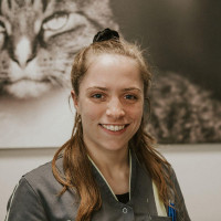 Henrike Lagerweij - Paraveterinair / baliemedewerkster