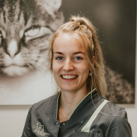 Mariska van Drie - Paraveterinair