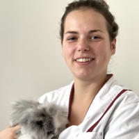 Annemieke Graste