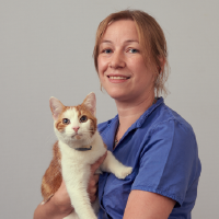 Ellen Meysmans - Dierenarts-assistent