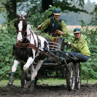 Esther Klok - Paraveterinair