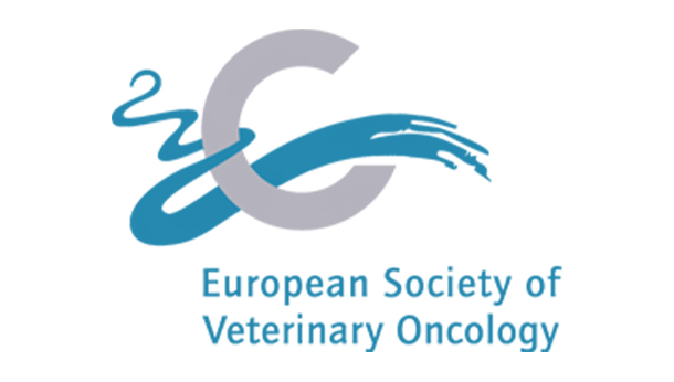 Logo3