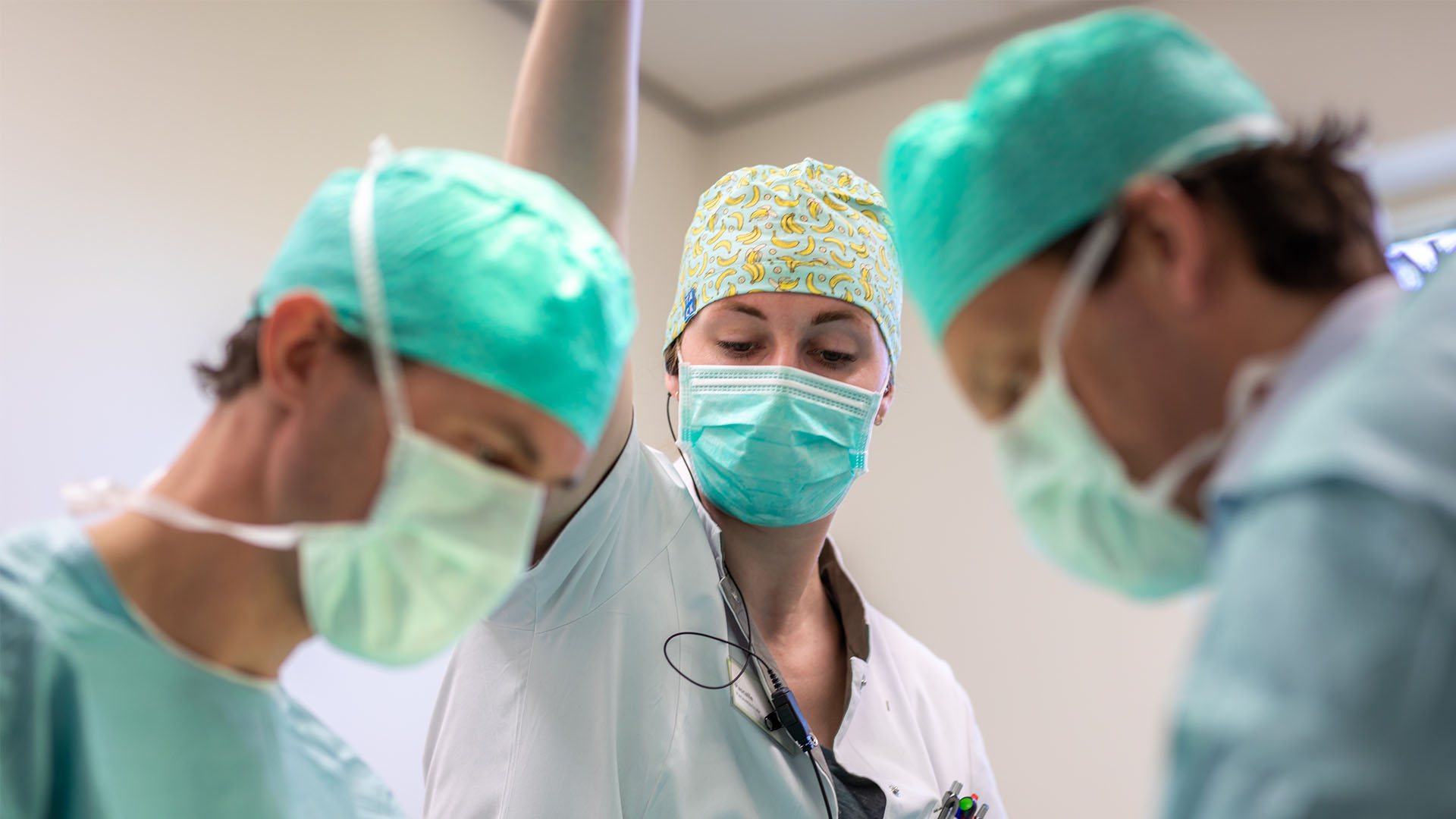 Operaties en chirurgie Dierenziekenhuis Nunspeet Operaties en chirurgie Dierenziekenhuis Nunspeet