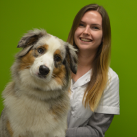 Melissa - Paraveterinair