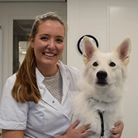 Jorine Gebbink - Veterinarian