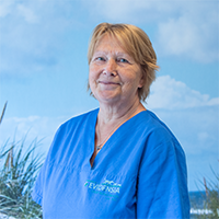 Lorike van Helsdingen - Paraveterinair Tandheelkunde